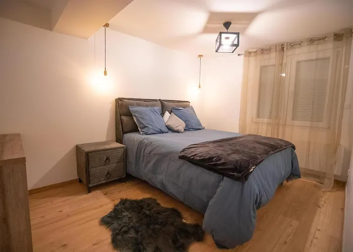 Sinalospa - Cosala Appartemement Sauna Jacuzzi Grande Terrasse A 5 Minutes De Nancy Place Stanislas