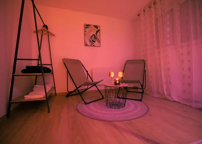 Sinalospa - Cosala Appartemement Sauna Jacuzzi Grande Terrasse A 5 Minutes De Nancy Place Stanislas