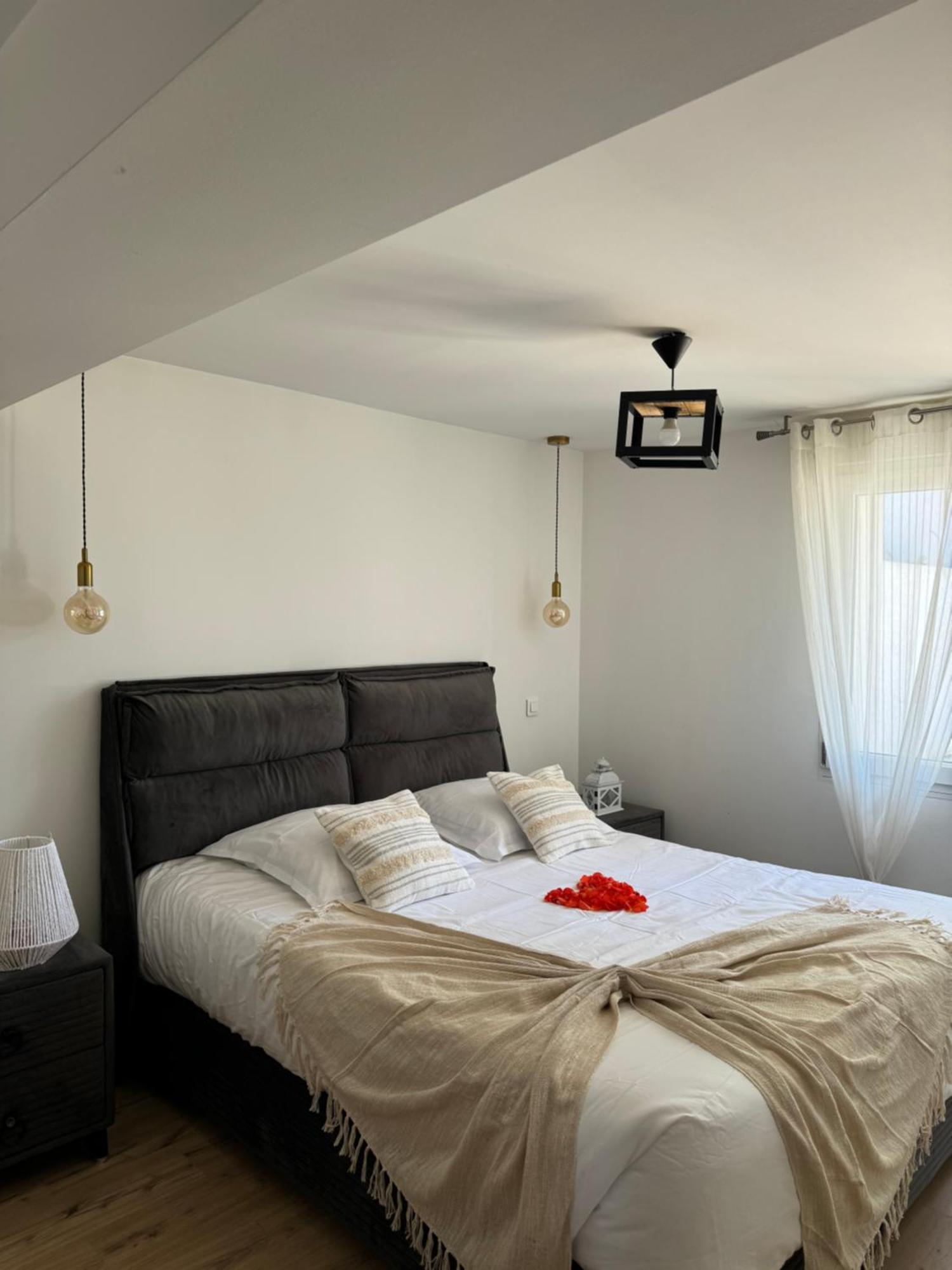 Sinalospa - Cosala Appartemement Sauna Jacuzzi Grande Terrasse A 5 Minutes De Nancy Place Stanislas Apartment *