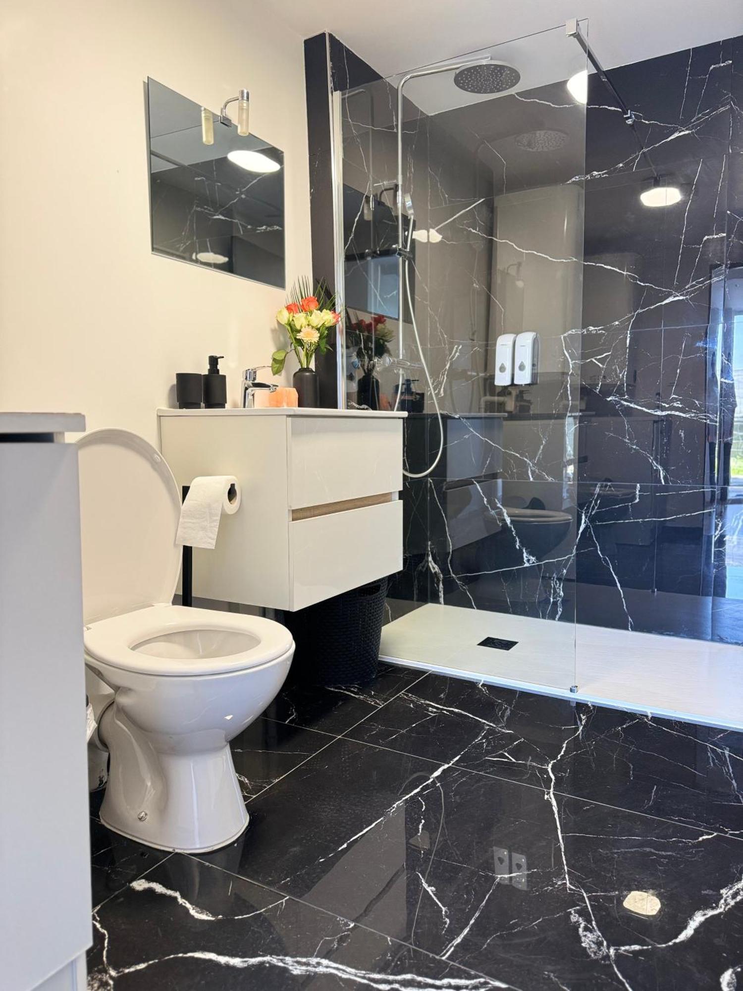 Sinalospa - Cosala Appartemement Sauna Jacuzzi Grande Terrasse A 5 Minutes De Nancy Place Stanislas * Champigneulles