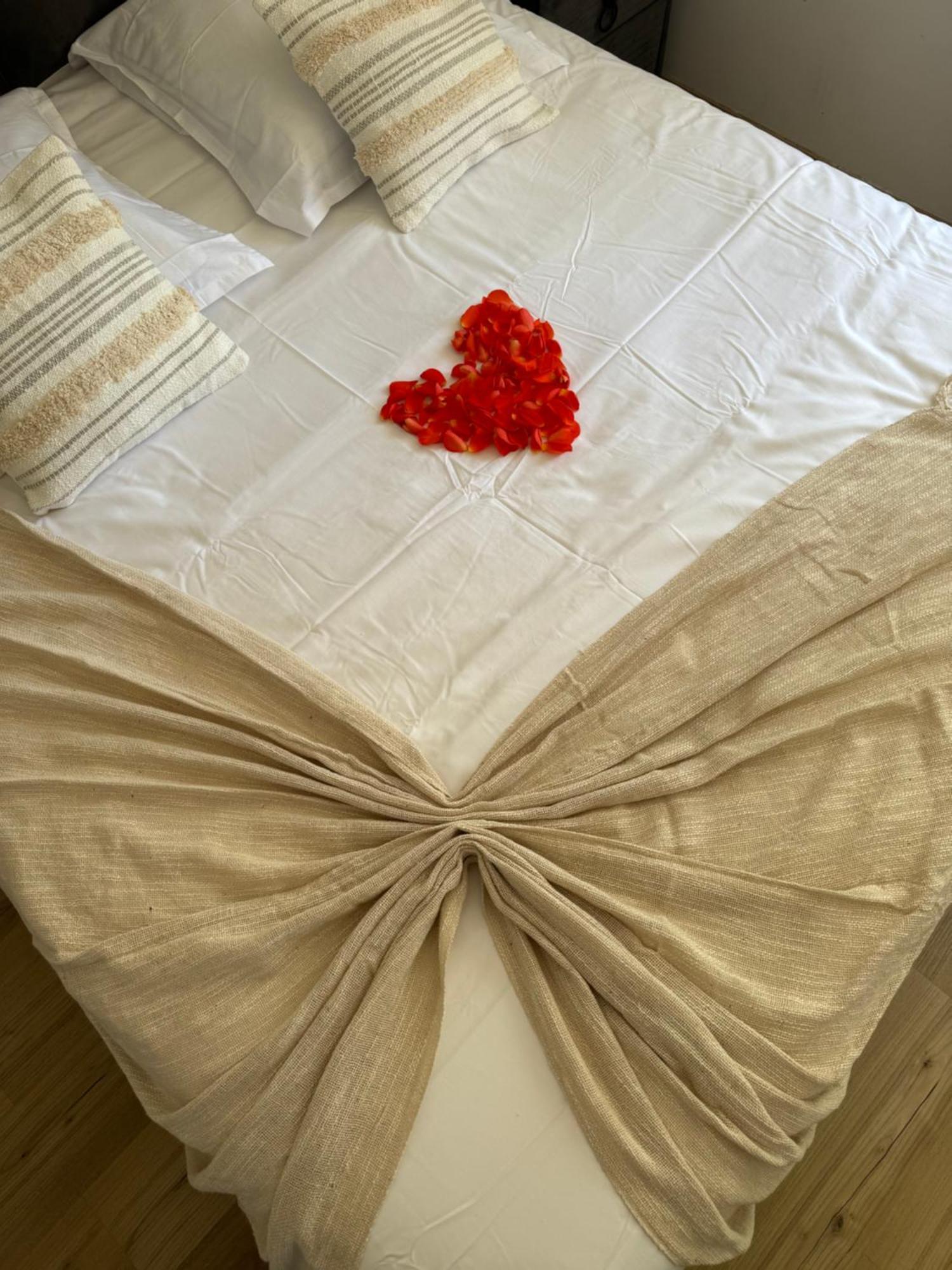 Apartment Sinalospa - Cosala Appartemement Sauna Jacuzzi Grande Terrasse A 5 Minutes De Nancy Place Stanislas